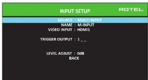 ROTEL RSP1582 - Input Setup - 2
