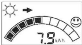 STECA PR 1515 - Ampèreheuremetre : charge de la batterie - 1