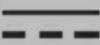 SILVERCREST SPMR1 B1 - DCS (Digital Code Squelch) - 6