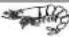 TRISTAR FR6970 - TRISTAR - 3