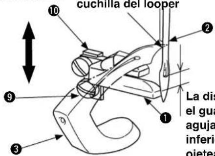 cuchilla del looper La dis el gua aguja inferio pietea