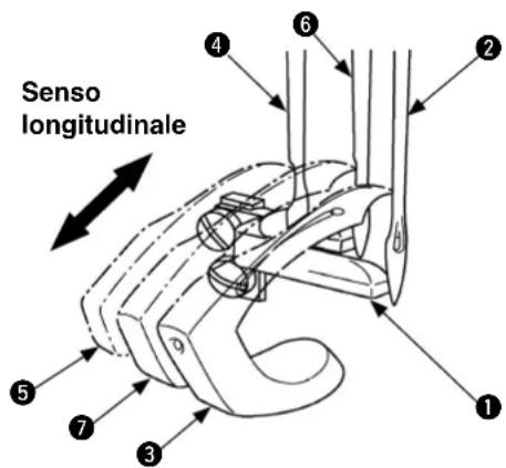 Senso longitudinale