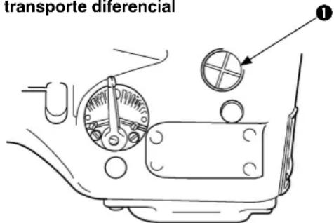transporte diferencial ①
