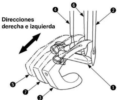 Direcciones derecha e izquierda