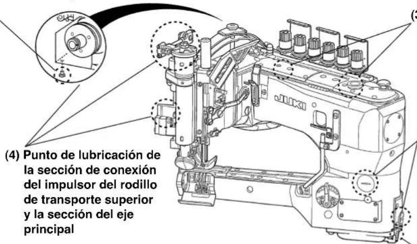 (4) Punto de lubricación de la sección de conexión del impulsor del rodillo de transporte superior y la sección del eje principal