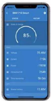 VICTRON ENERGY BMV700H - Pages du contrôleur de batterie : - 1