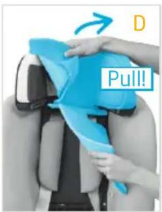 D Pull!