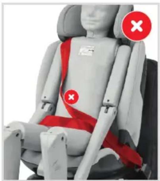 MAXI-COSI Titan Plus iSize - - 150 cm - 3