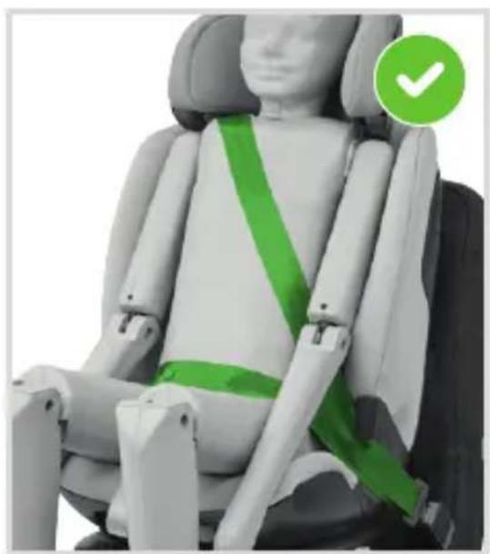 MAXI-COSI Titan Plus iSize - - 150 cm - 2