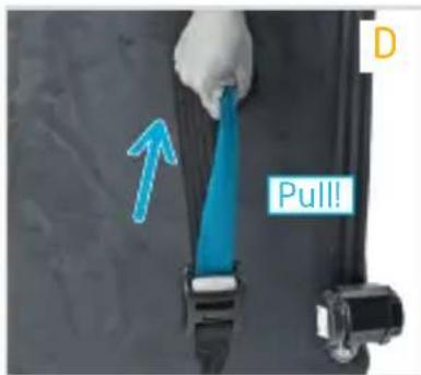 Pull!