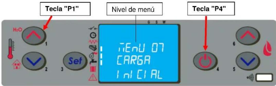 Cola Termo Focus Plus - Menú 07 - Carga inicial - 1