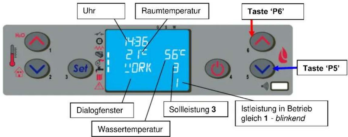 Cola Termo Focus Plus - Betriebsphase - 1