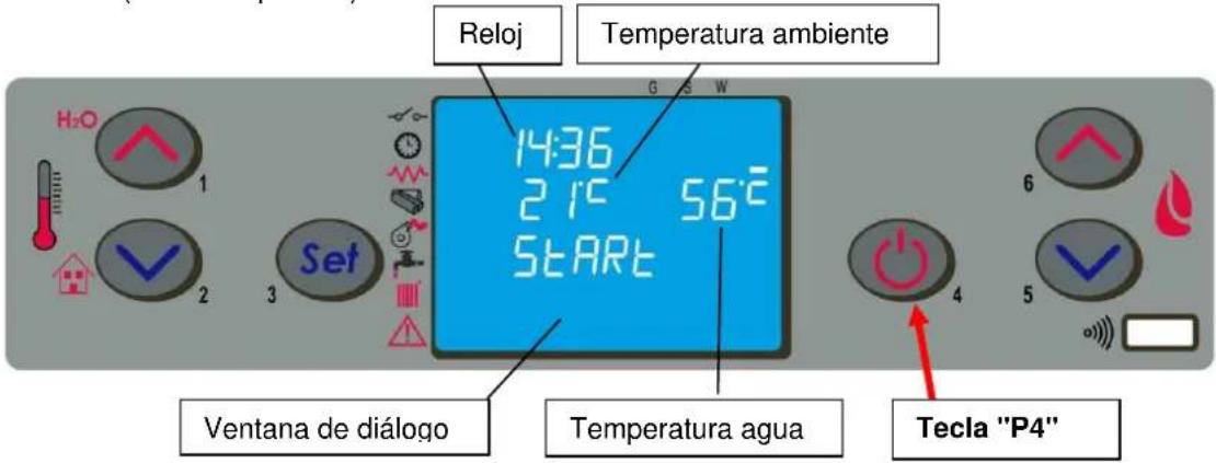 Cola Termo Focus Plus - Puesta en marcha - 1