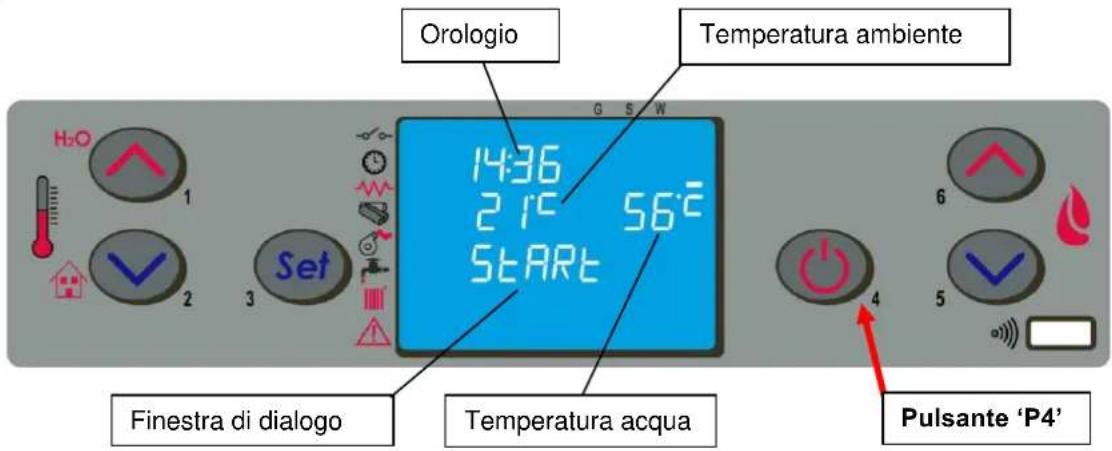 Cola Termo Focus Plus - Fase di avvio - 1