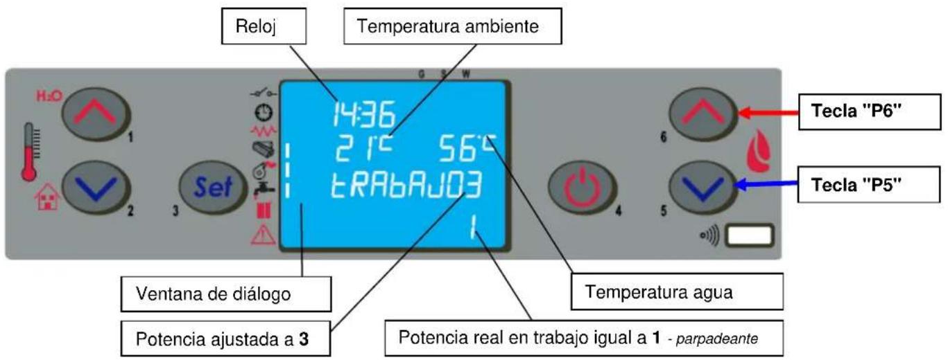 Cola Termo Focus Plus - Funcionamiento - 1