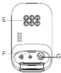 E F G