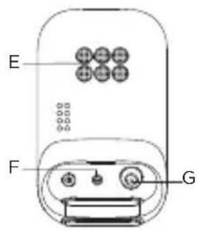 E F G