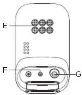 E F G