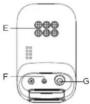 E F G