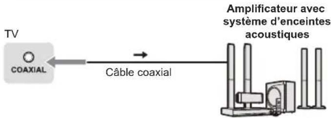 graph LR TV["TV"] -->|Câble coaxial| A["Câble coaxial"] A --> B["Amplificateur avec système d'enceintes acoustiques"]