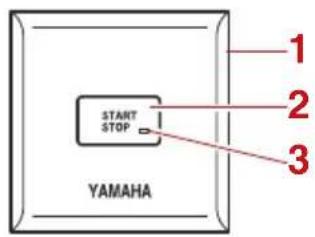 YAMAHA XF450 (2023) - Moteurs jumelés - 2