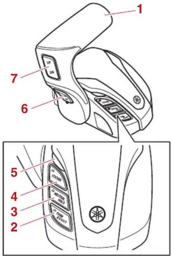 YAMAHA XF450 (2023) - Moteur simple - 1