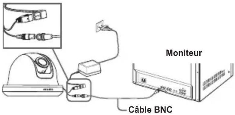Moniteur Câble BNC