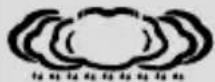 HAMA 186312 - Nota— P ronósticodeltiempo - 4