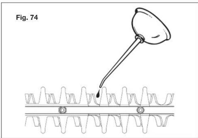 Fig. 74