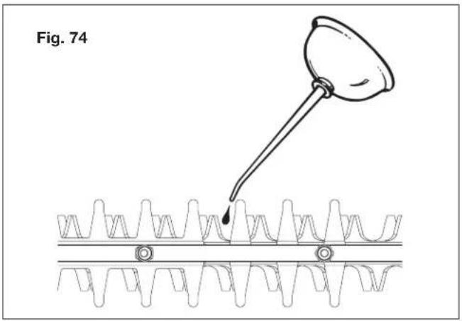 Fig. 74