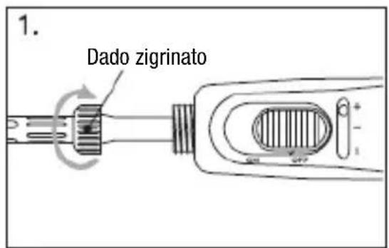 1. Dado zigrinato