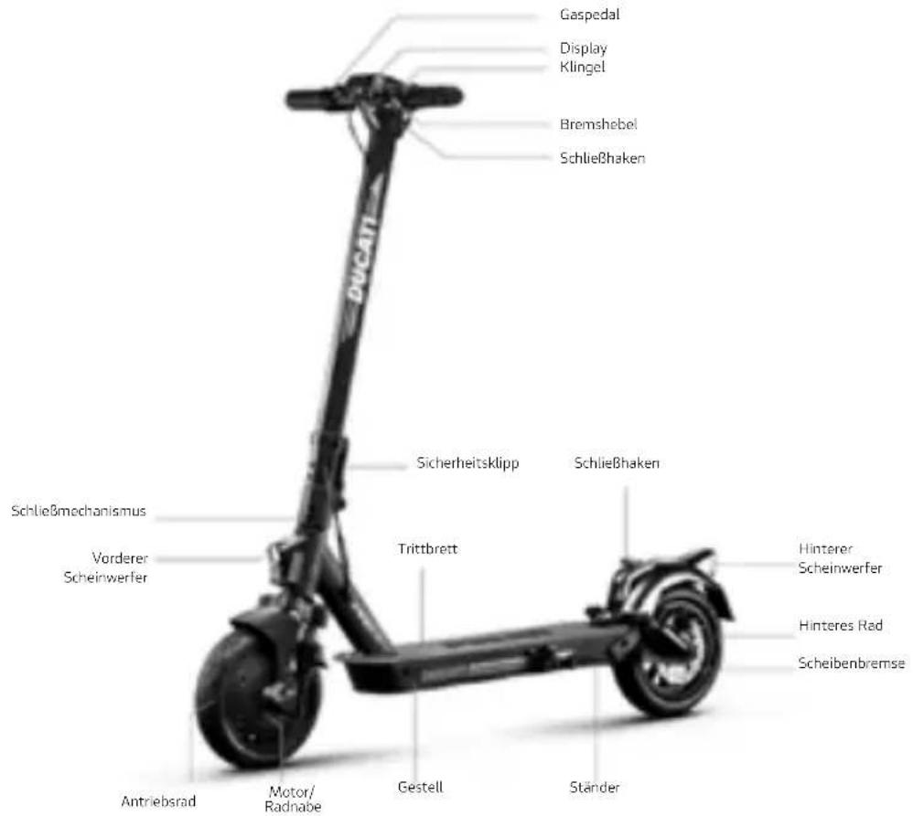 DUCATI PROIII - Benutzerhandbuch - 2