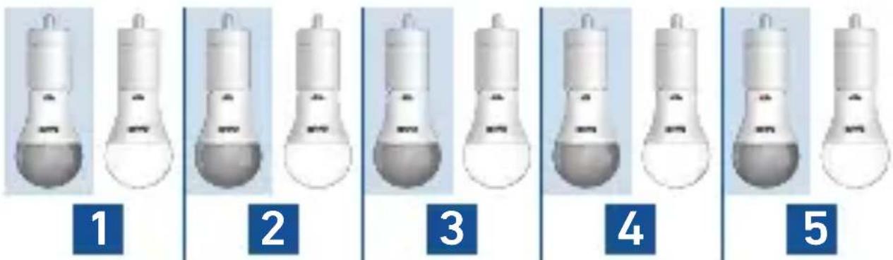 1 2 3 4 5