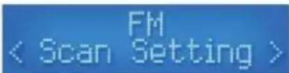 HQ Power HQWS10001 - FM-Menüoptionen - 2