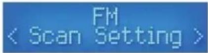 HQ Power HQWS10001 - FM-Menüoptionen - 1