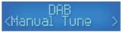 HQ Power HQWS10001 - Manual DAB Tuning - 1