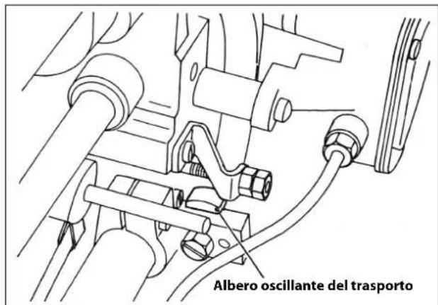 Albero oscillante del trasporto