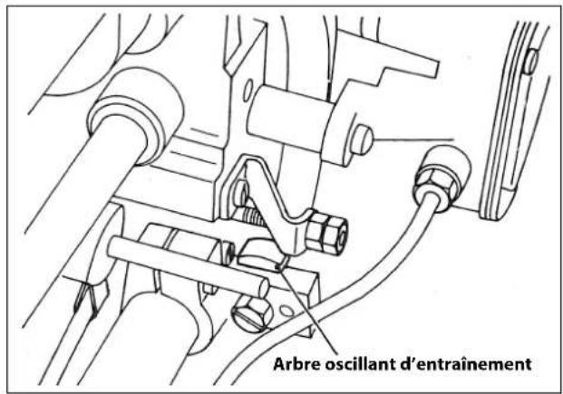 Arbre oscillant d'entraînement
