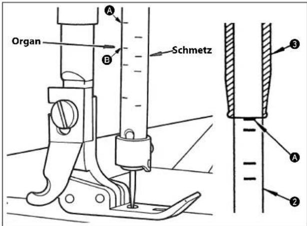 Organ Schmetz