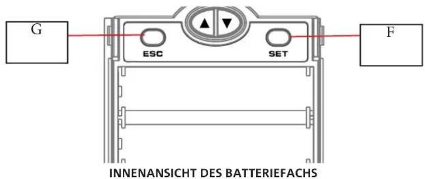 DB Technologies DEM 30 - EMPFÄNGER - 2