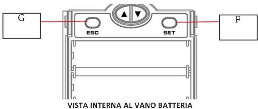 DB Technologies DEM 30 - RICEVITORE - 2