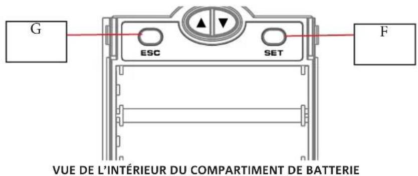 DB Technologies DEM 30 - RÉCEPTEUR - 2