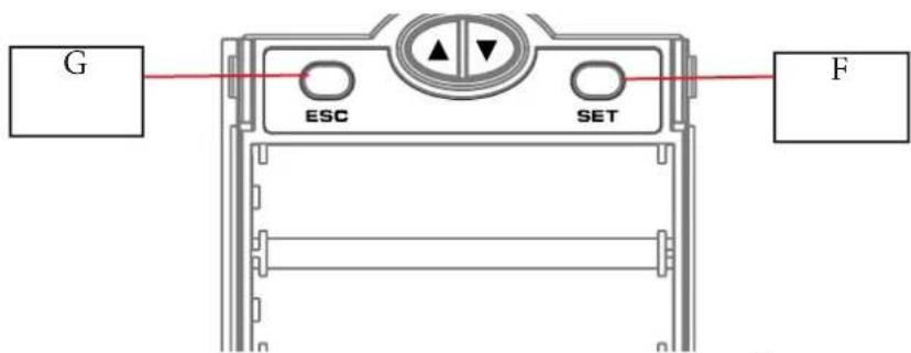 DB Technologies DEM 30 - RECEPTOR - 2