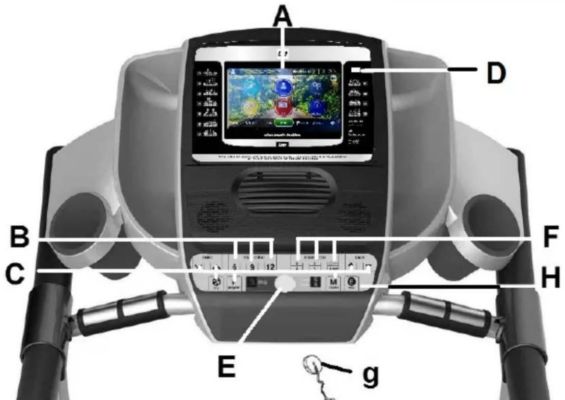 BH FITNESS Pioneer R5 TFT - Nederlands - 1