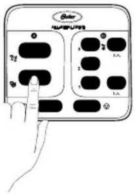 Outer ALLA 12 2 3 4 5 6 7 8 9 10 11 12