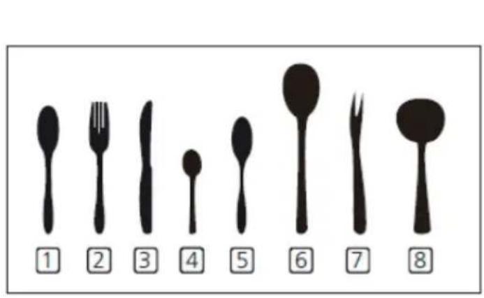 AMICA EGSP 566 100 E - Cutlery basket - 1