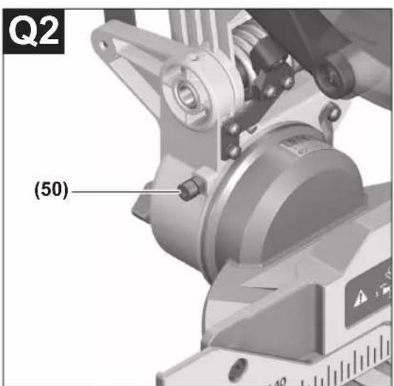 Q2 (50)