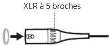 BOSE A30 Aviation Headset - Déconnexion de l'avion (U174 et XLR à 5 broches) - 2