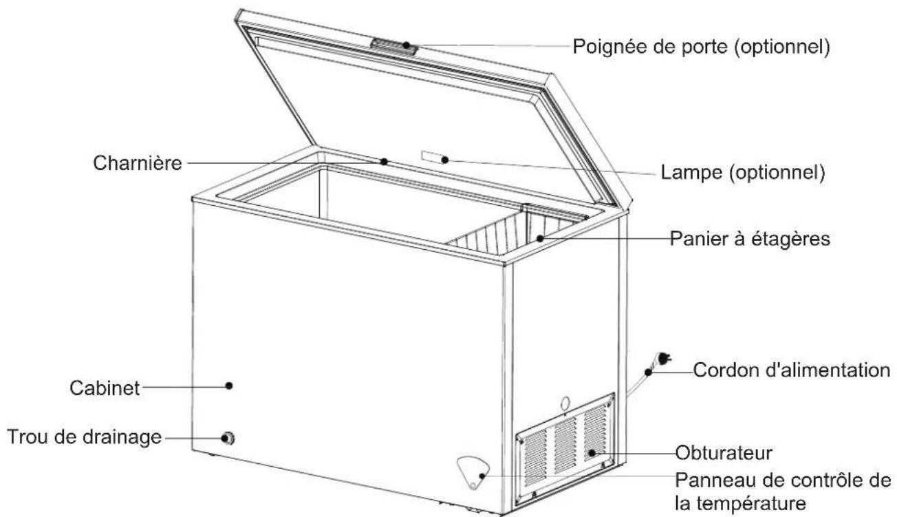AYA CC4004 - Noms des composants - 1
