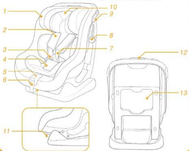 Joie Steadi R129 - Confirmar - 2